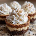 A close-up of one perfect gingerbread cheesecake cup topped with swirled whipped cream and a dusting of cinnamon.